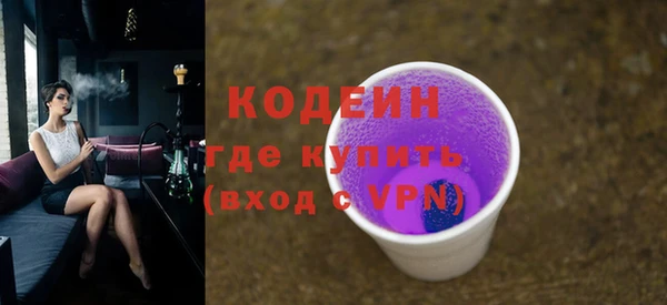 ГАЛЛЮЦИНОГЕННЫЕ ГРИБЫ Вяземский